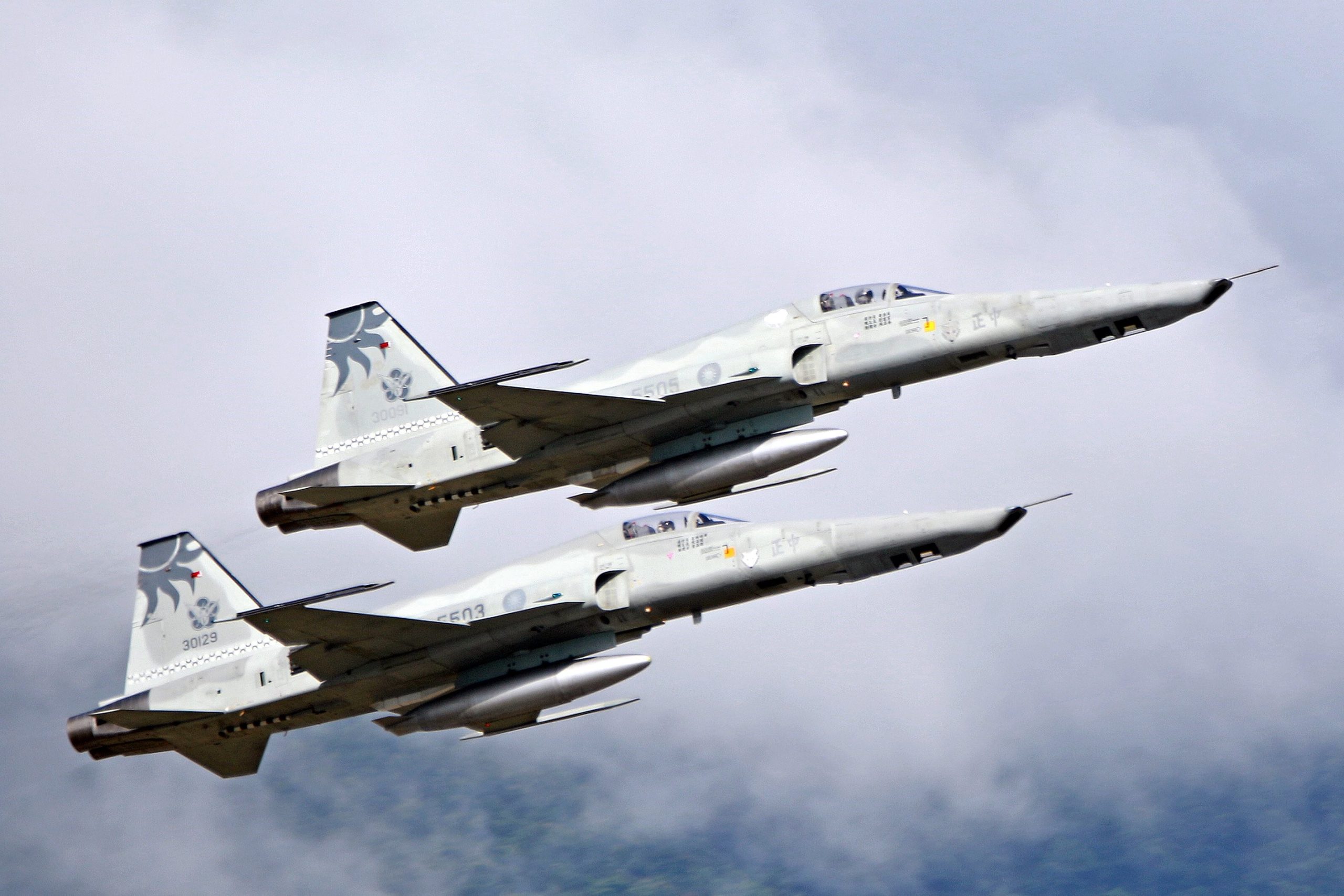 Um dos maiores operadores do F-5, Taiwan converteu sete aviões, batizados como Tigergazer. Aeronaves foram aposentadas em 2025. Foto: Ministério da Defesa de Taiwan.