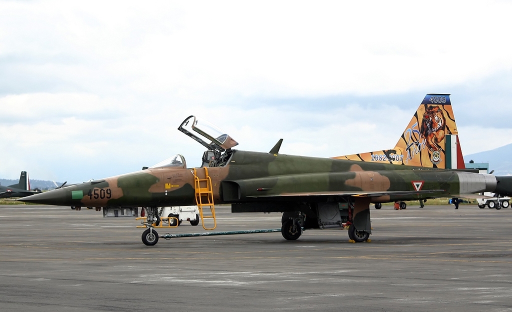 México busca substituir seus caças F-5 Tiger II (André Du-pont/Mexico Air Spotters)